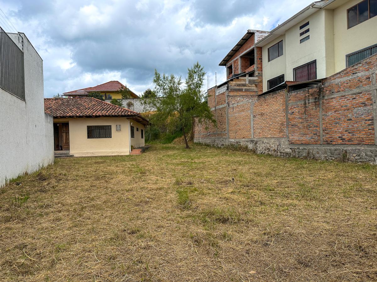 AMPLIO TERRENO EN VENTA EN MISICATA, ZONA DE ALTA PLUSVALÍA - imagen 4